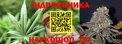 трава Пенза