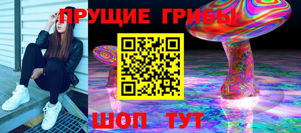 Псилоцибиновые грибы прущие грибы  Вход с VPN  Рославль 