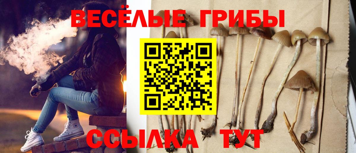 Галлюциногенные грибы прущие грибы Рославль